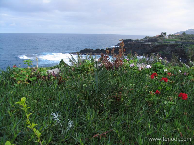 LaPalma (096).JPG